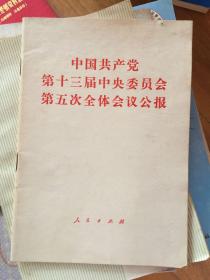 中国共产党第十三届中央委员会第五次会议公报