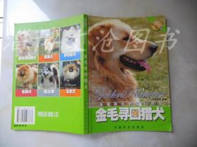 金毛寻回猎犬：身披阳光的知心伴侣