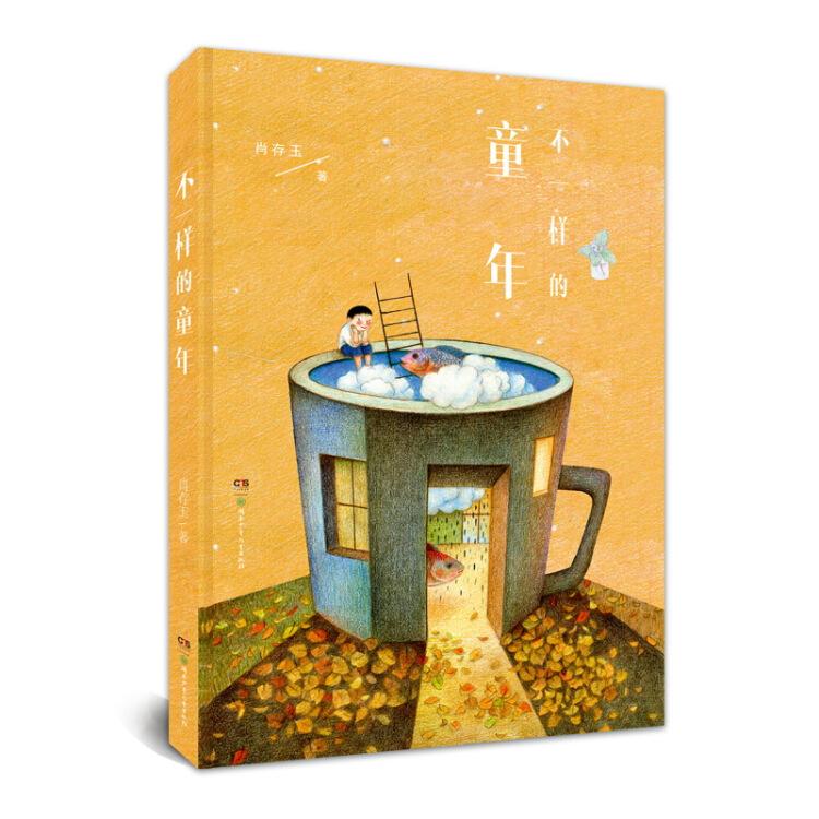 不一样的童年 肖存玉 湖南少年儿童出版社