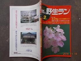 自然 野生1991.2（日文原版花卉期刊）