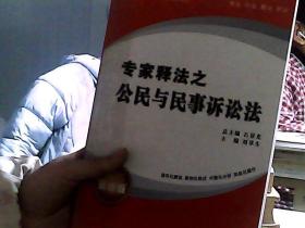 專家釋法之 公民與民事訴訟法