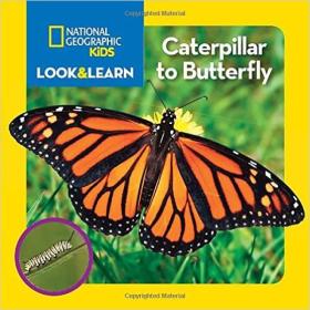National Geographic Kids Look and Learn: Caterpi