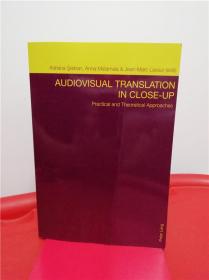 Audiovisual Translation in Close-Up: Practical and Theoretical Approaches （视听翻译的详细考察：实践与理论之进路）研究文集