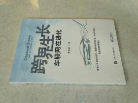 跨界生长 车联网在进化
