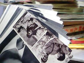 明信片 演员-剧照 10张)全