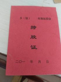 乡（镇）          村林权股份  持股证