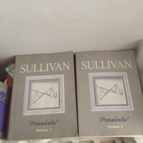 SULLIVAN Precalculus （Volume 1.2）