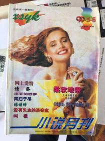 《小说月刊》5、6合期/1999