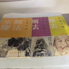 绘画技法图例丛书（写意花卉12张完整、写意人物8张完整、写意山水8张完整）三册合售 40-06