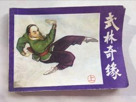 武林奇缘(上)