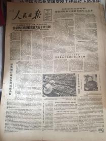 人民日报 单张 1983年8月15至28