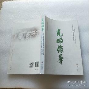 光明盛华：贵州盛华职业学院盲人学生故事