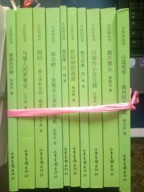 13-4-9. 大汶河丛书（全10册）：裸露的伤痛、祖宗树、莲花慢、胡同、白春玲小说百题、在信仰的高原、山道弯弯、都不算么、马墩儿的罗曼史、梅飞诗舞