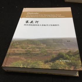 寨头河—陕西黄陵战国戎人墓地考古发掘报告