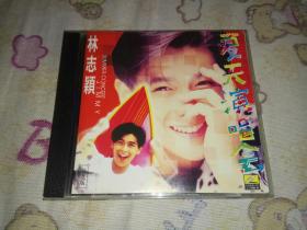 林志颖 夏天演唱会vcd 绝版罕见