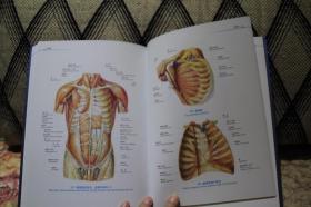 人体解剖彩色图谱  第2版