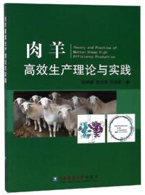 养羊技术书籍 肉羊高效生产理论与实践 [Theory and Practice of Mutton Sheep High Efficiency Production]