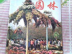 园林【1985第6期】