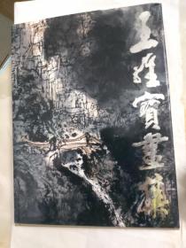 王维宝画集