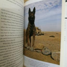 军犬：美国犬类英雄的不为人知的故事 Soldier Dogs: The Untold Story of America's Canine Heroes