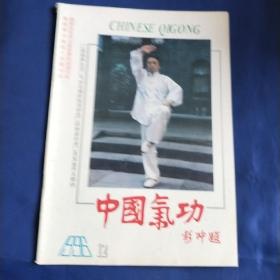 中国气功1996年12期