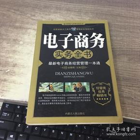 网络营销实务全书：突破传统营销平台的全新模式