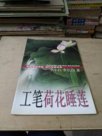 工笔荷花睡莲