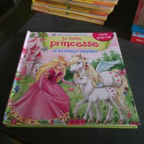 La Petite Princesse et les poneys magiques