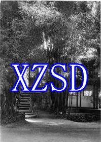 成都寺庙的竹拱门，大约1930-1940年（翻拍）