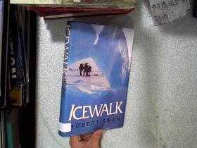 ICEWALK ROBERT SWAN冰道罗伯特·斯旺 16开