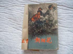 朝阳花   （馆藏书   自包书皮）