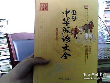 中国传统文化丛书：中国古代成语大全