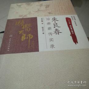 国医大师文丛：朱良春治痹薪传实录