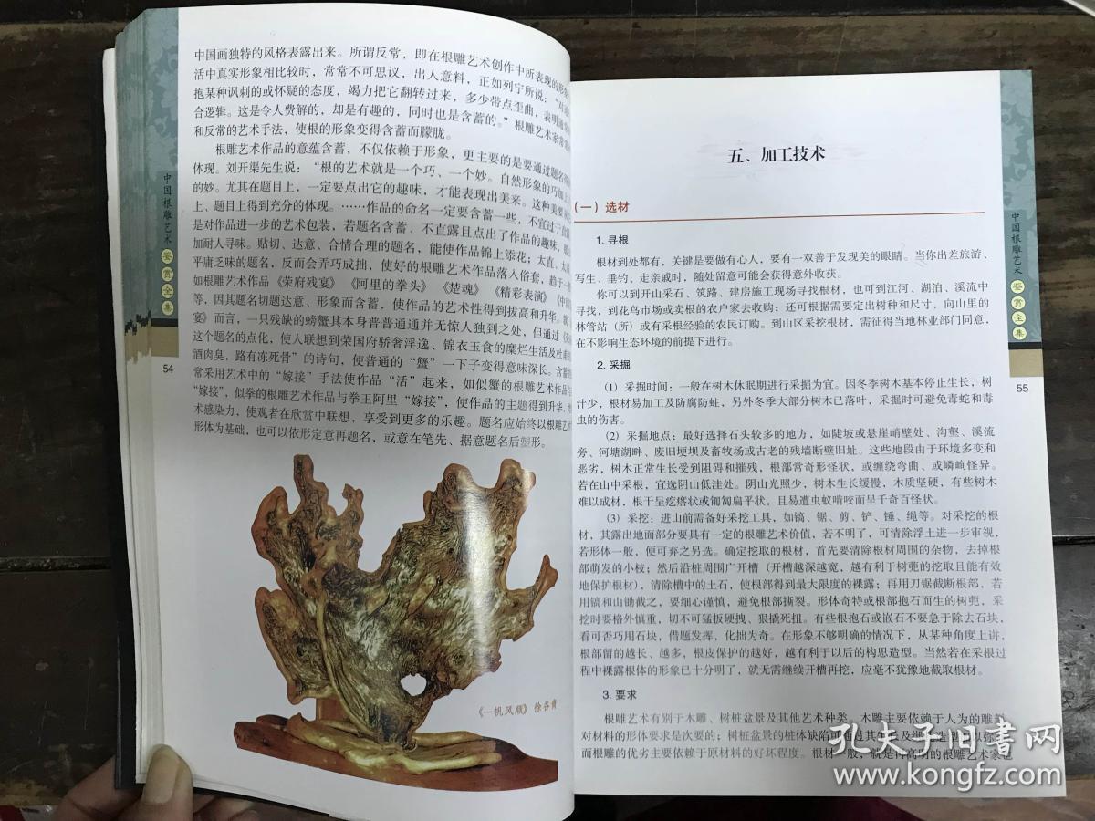 中国根雕艺术鉴赏全集（全彩版）