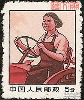 文普无号-**普票，5分女拖拉机手图，不多见毛齿全新邮票一枚