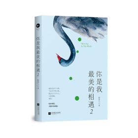 你是我最美的相遇2/林笛儿/江苏凤凰文艺出版社/2019年3月/9787559426987