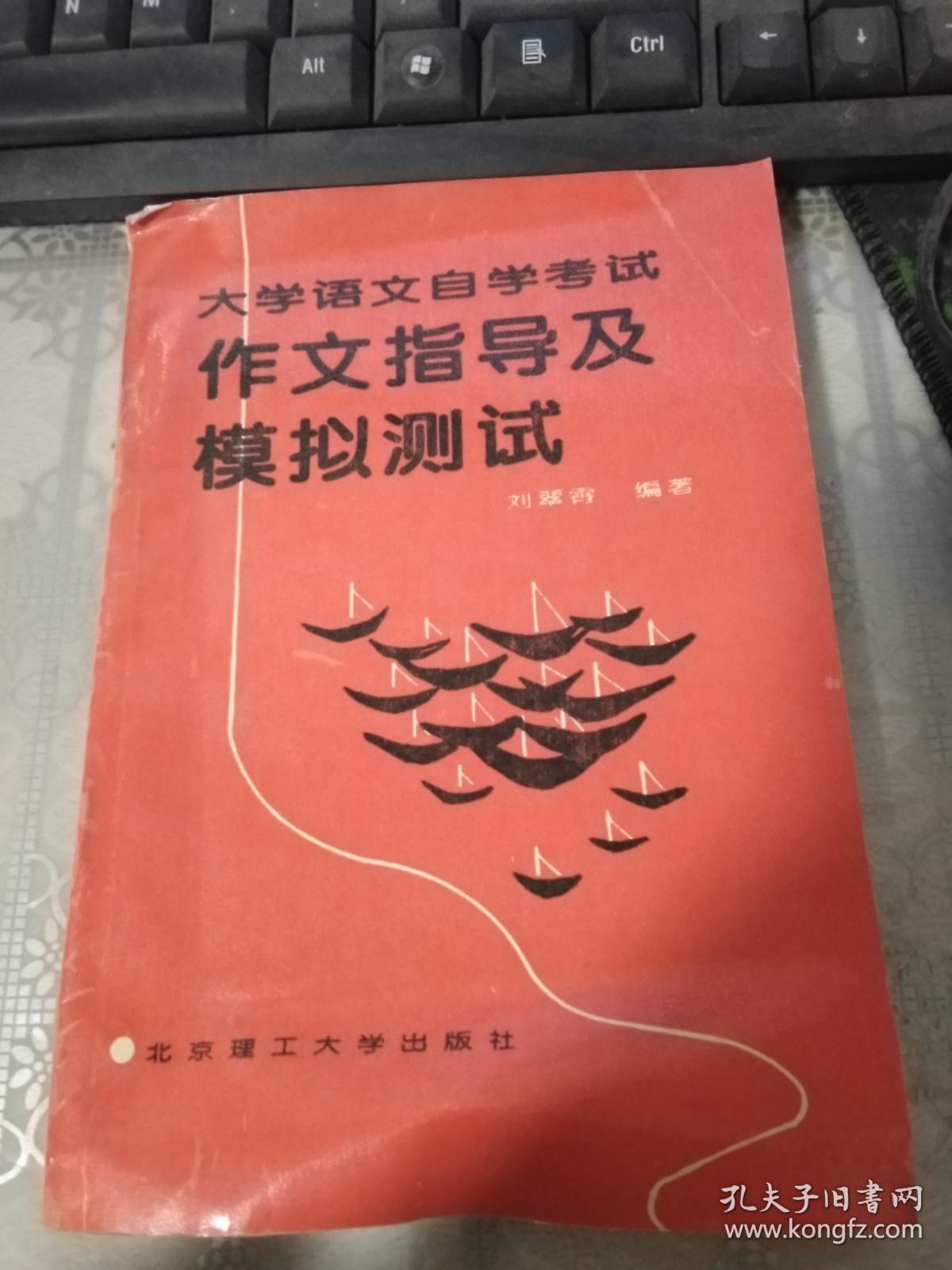 大学语文自学考试作文指导及模拟测试