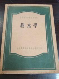 树木学（1956年版）：中等林业学校使用教材