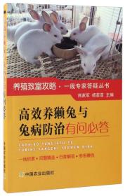 养兔技术书籍 高效养獭兔与兔病防治有问必答/养殖致富攻略·一线专家答疑丛书