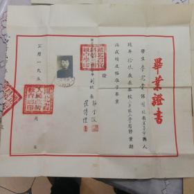 五十年代毕业证及其它证件一组同一人