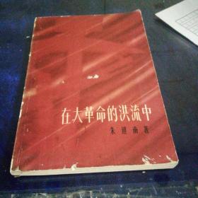 在大革命的洪流中（1961年8月第一版第一次印刷）