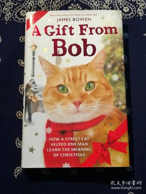 A Gift from Bob