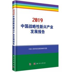 2019中国战略性新兴产业发展报告