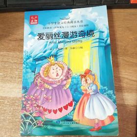 爱丽丝漫游奇境