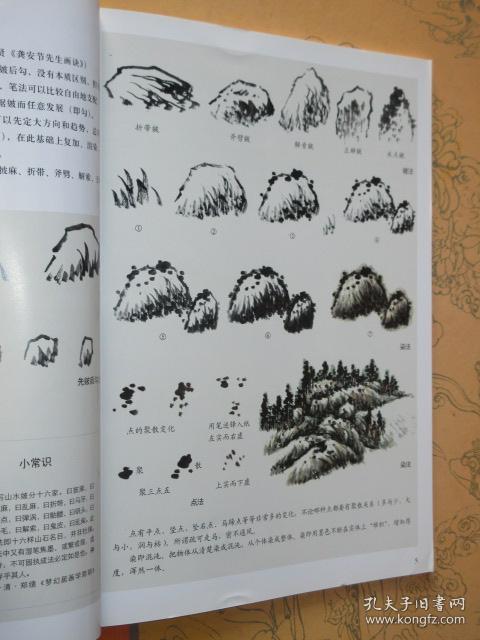 国画入门训练新编 山石（写意山水篇）