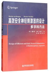 高效安全神经刺激器的设计：多学科方法