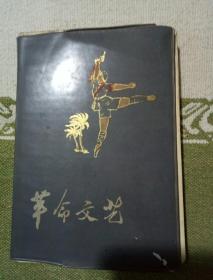 革命文艺日记本里面有图片，自己看清楚，按上面拍的发货。