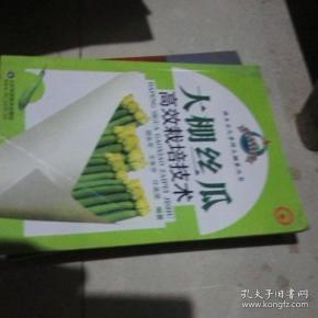 大棚丝瓜高效栽培技术