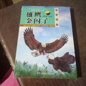 雄鹰金闪子