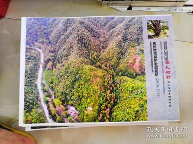 嵩县白河镇栗扎树村传统村落保护发展规划（2018-2035）